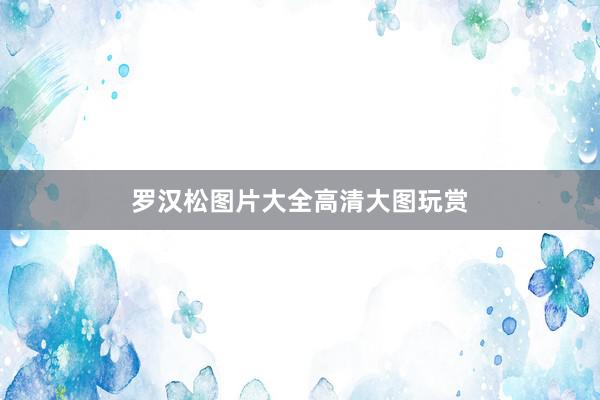 罗汉松图片大全高清大图玩赏
